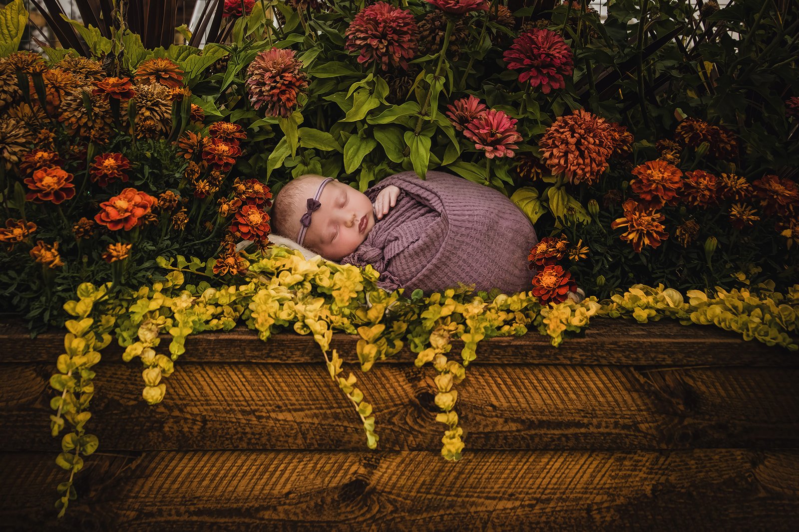 Newborn Photography in Bozeman | ADP Studio